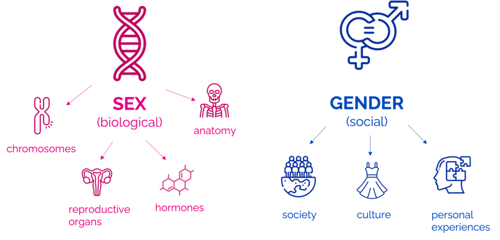 Highlights the differences between sex and gender. 

Sex (biological): chromosomes, anatomy, reproductive organs & hormones. 

Gender (social): society, culture, personal experiences.